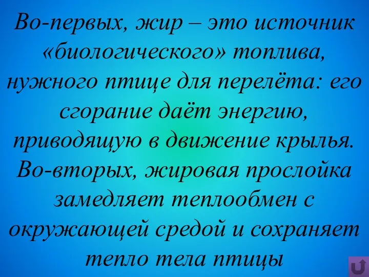 Во-первых, жир – это источник «биологического» топлива, нужного птице для