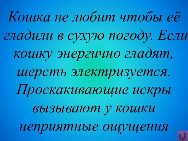 Кошка не любит чтобы её гладили в сухую погоду. Если