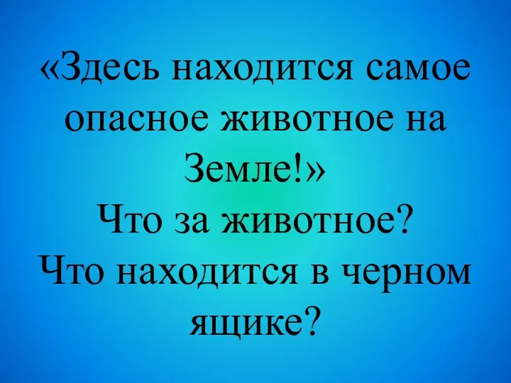 «Здесь находится самое опасное животное на Земле!» Что за животное? Что находится в черном ящике?