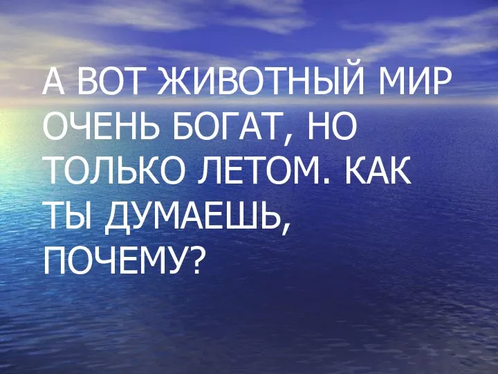 А ВОТ ЖИВОТНЫЙ МИР ОЧЕНЬ БОГАТ, НО ТОЛЬКО ЛЕТОМ. КАК ТЫ ДУМАЕШЬ, ПОЧЕМУ?