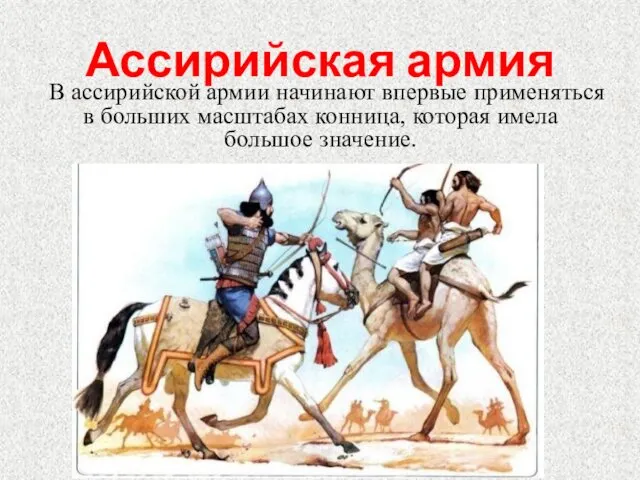 Ассирийская армия В ассирийской армии начинают впервые применяться в больших масштабах конница, которая имела большое значение.