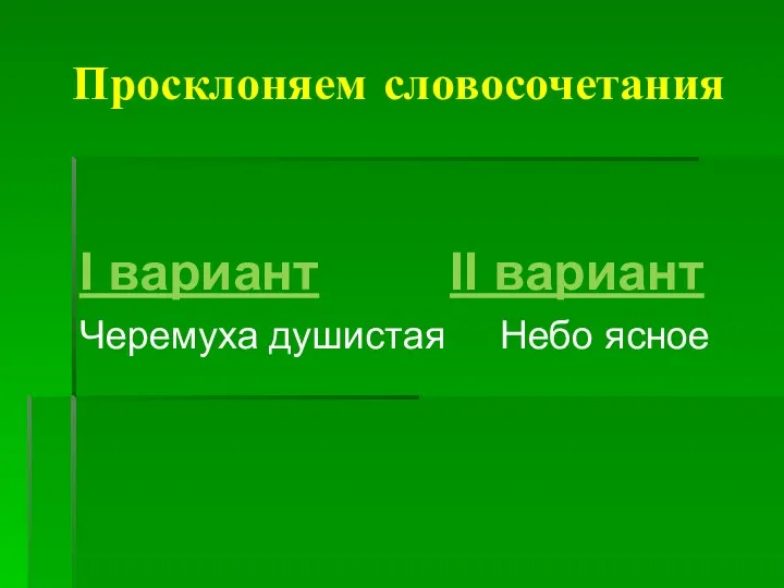 Просклоняем словосочетания I вариант II вариант Черемуха душистая Небо ясное