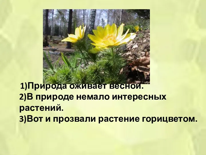 1)Природа оживает весной. 2)В природе немало интересных растений. 3)Вот и прозвали растение горицветом.