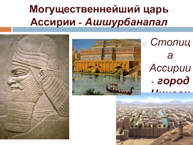Могущественнейший царь Ассирии - Ашшурбанапал Столица Ассирии - город Ниневия