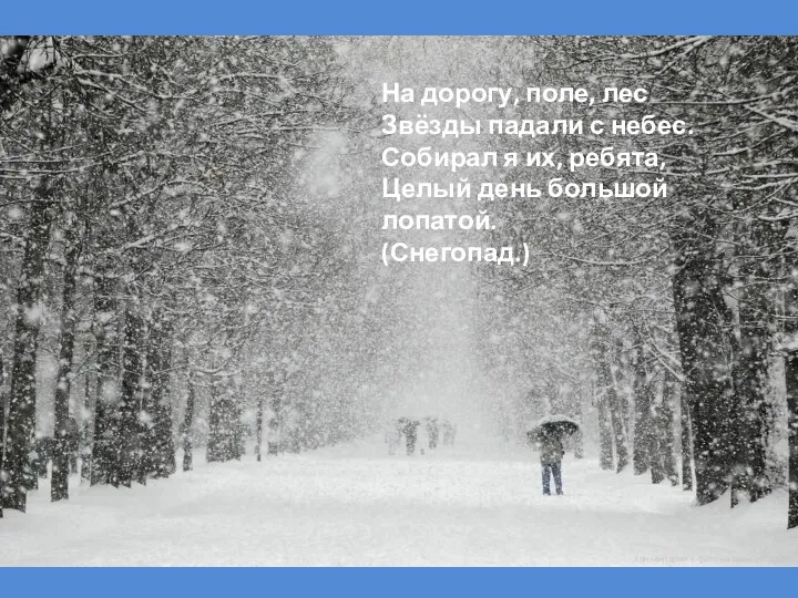 На дорогу, поле, лес Звёзды падали с небес. Собирал я