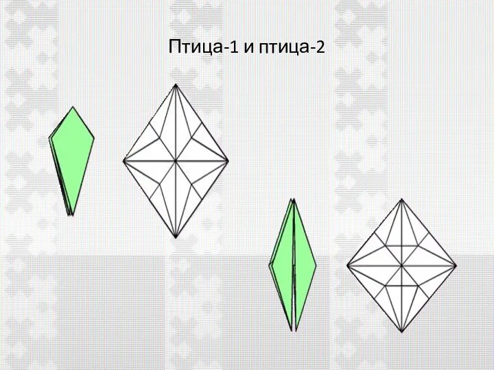 Птица-1 и птица-2