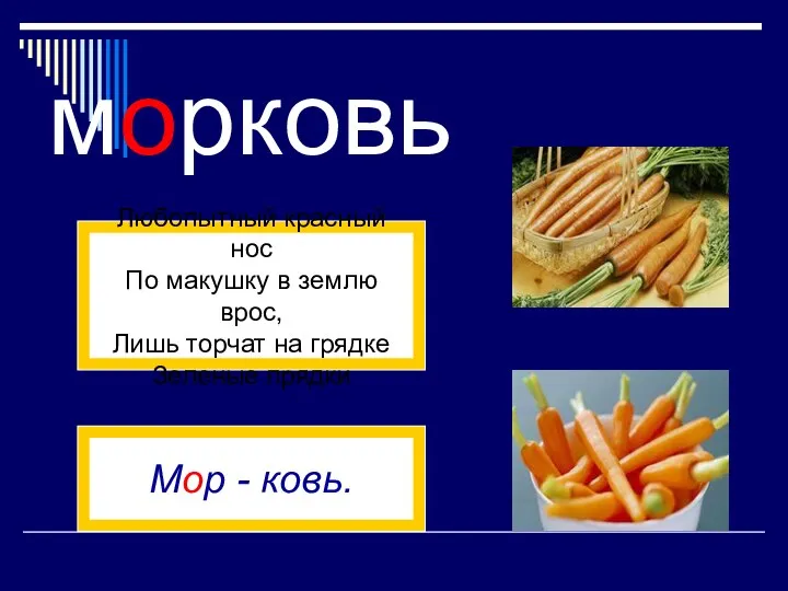 морковь Любопытный красный нос По макушку в землю врос, Лишь