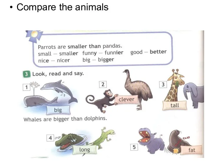 Compare the animals