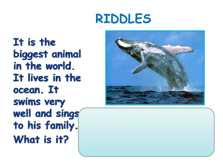 RIDDLES