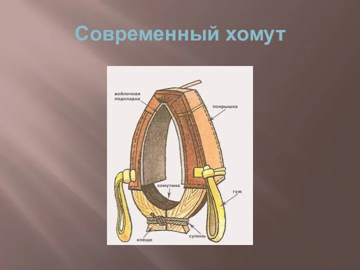 Современный хомут