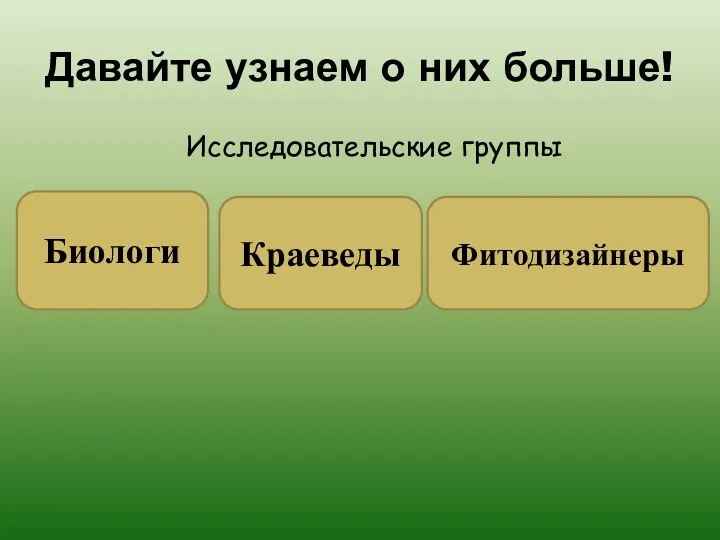 Давайте узнаем о них больше! Исследовательские группы Биологи Краеведы Фитодизайнеры