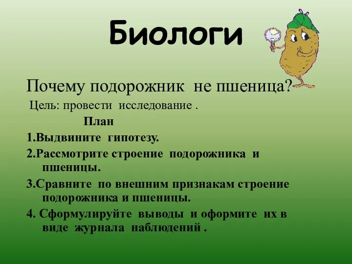 Биологи Почему подорожник не пшеница? Цель: провести исследование . План