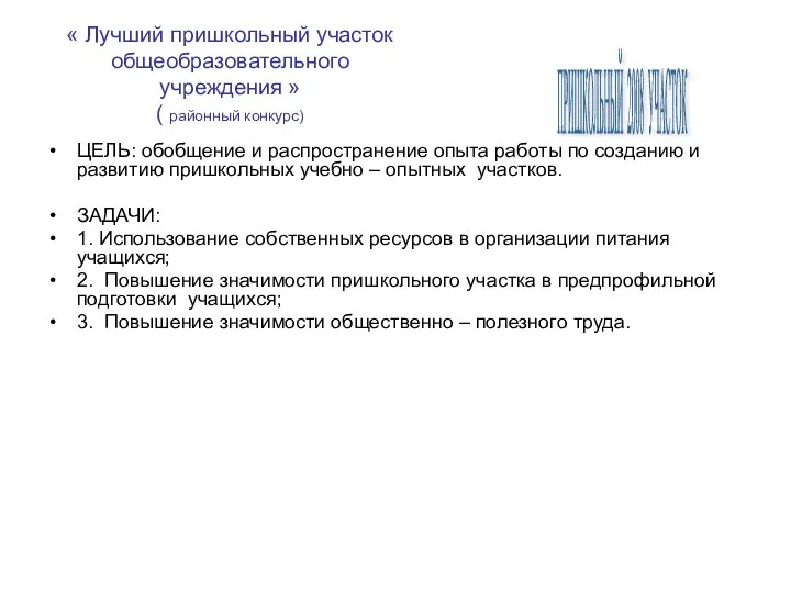 « Лучший пришкольный участок общеобразовательного учреждения » ( районный конкурс)