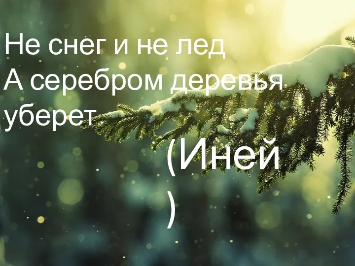 Не снег и не лед А серебром деревья уберет (Иней)