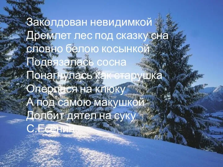 Заколдован невидимкой Дремлет лес под сказку сна словно белою косынкой