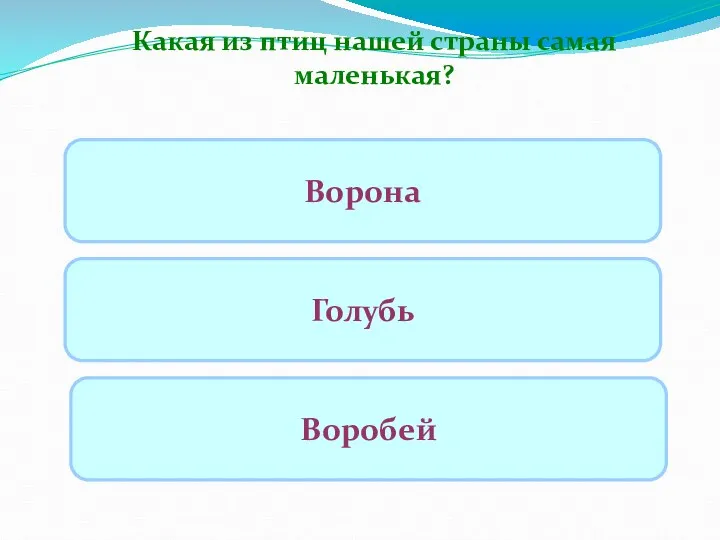 Какая из птиц нашей страны самая маленькая? Ворона Голубь Воробей