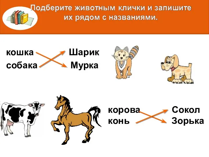 кошка Шарик собака Мурка корова Сокол конь Зорька