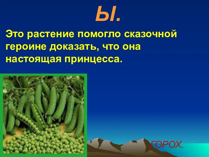 Ы. Это растение помогло сказочной героине доказать, что она настоящая принцесса. ГОРОХ.