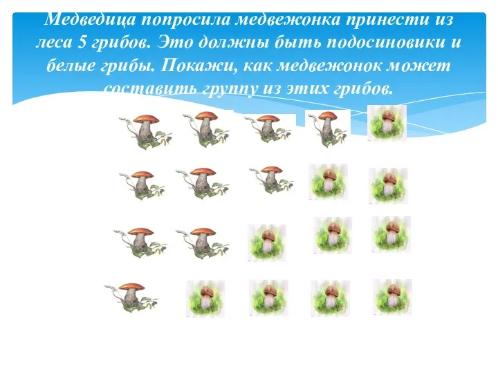 Медведица попросила медвежонка принести из леса 5 грибов. Это должны