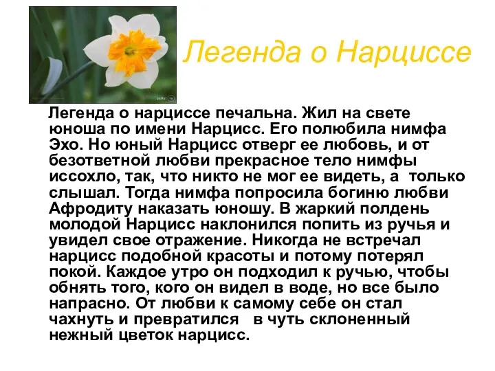 Легенда о Нарциссе Легенда о нарциссе печальна. Жил на свете юноша по имени