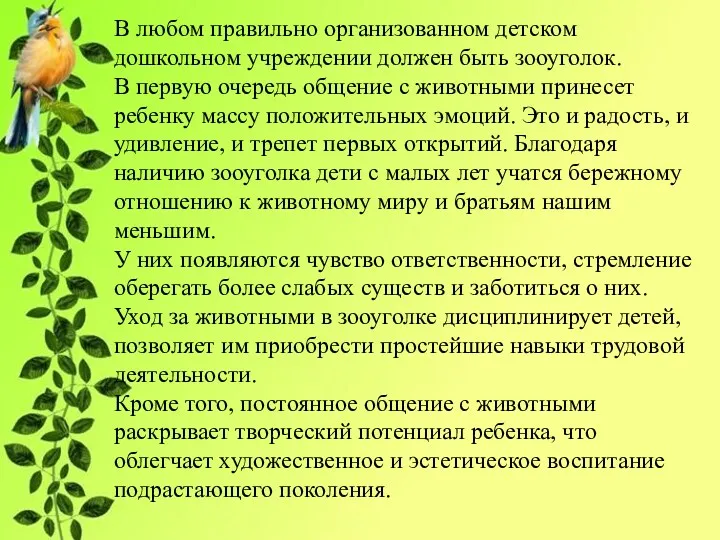 В любом правильно организованном детском дошкольном учреждении должен быть зооуголок.