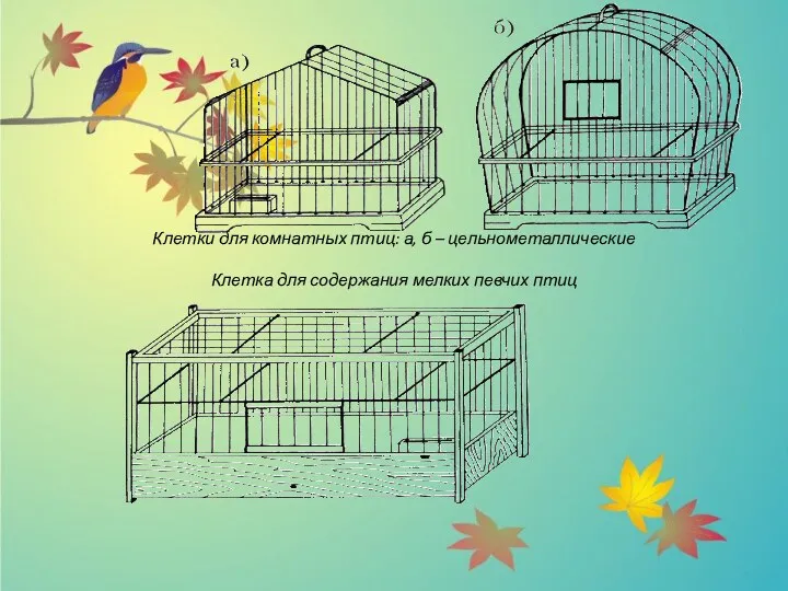 Клетки для комнатных птиц: а, б – цельнометаллические Клетка для содержания мелких певчих птиц