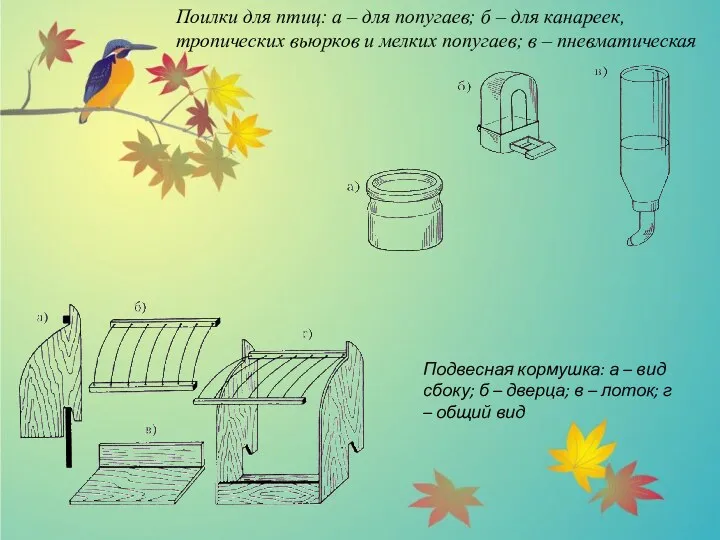 Поилки для птиц: а – для попугаев; б – для