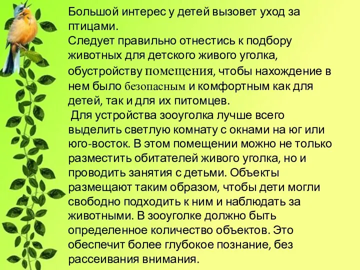 Большой интерес у детей вызовет уход за птицами. Следует правильно