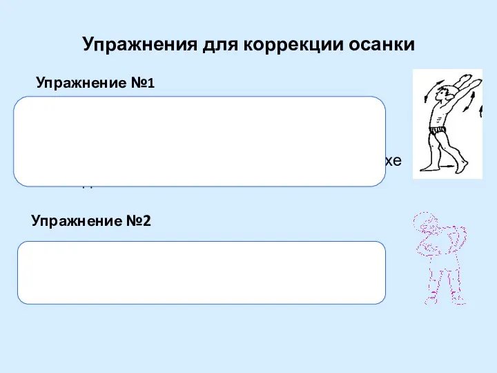 Упражнения для коррекции осанки Упражнение №1 Ноги на ширине плеч,