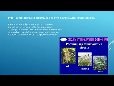 Вітер – це горизонтальне переміщення повітряних мас вздовж земної поверхні.