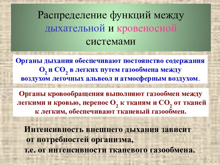 Распределение функций между дыхательной и кровеносной системами Органы дыхания обеспечивают