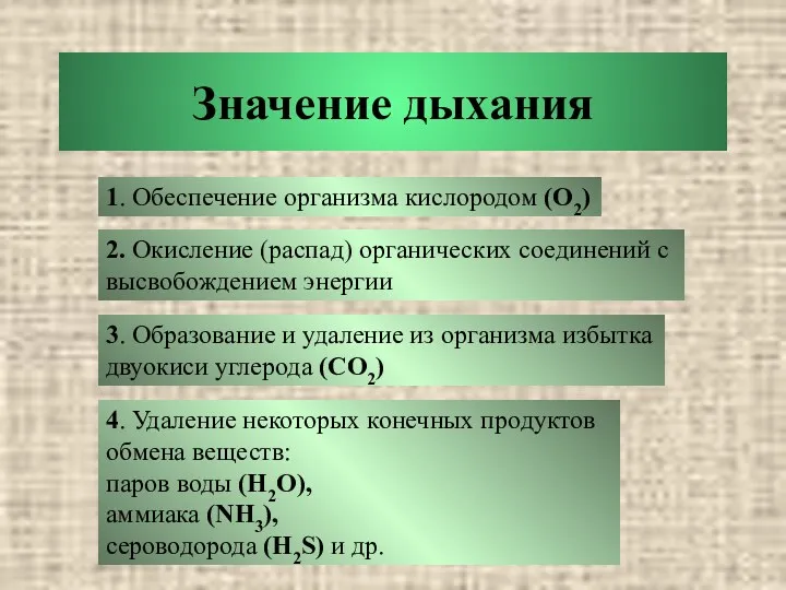 Значение дыхания 1. Обеспечение организма кислородом (О2) 2. Окисление (распад)