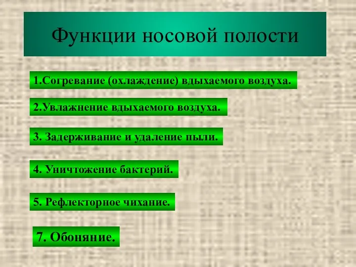 Функции носовой полости 1.Согревание (охлаждение) вдыхаемого воздуха. 2.Увлажнение вдыхаемого воздуха.