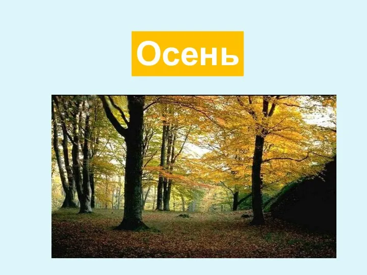 Осень