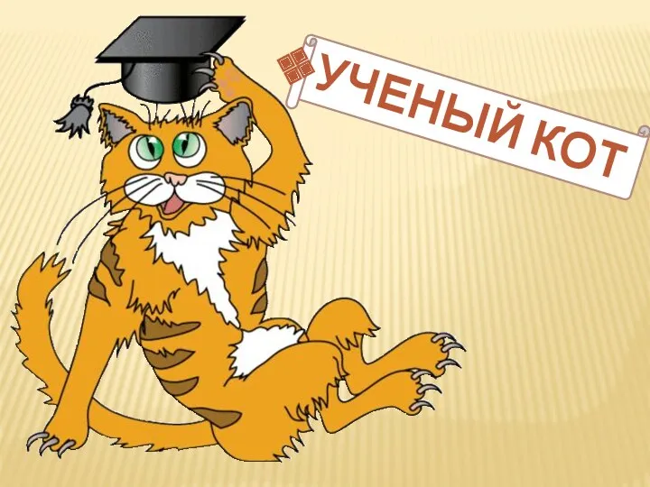 УЧЕНЫЙ КОТ