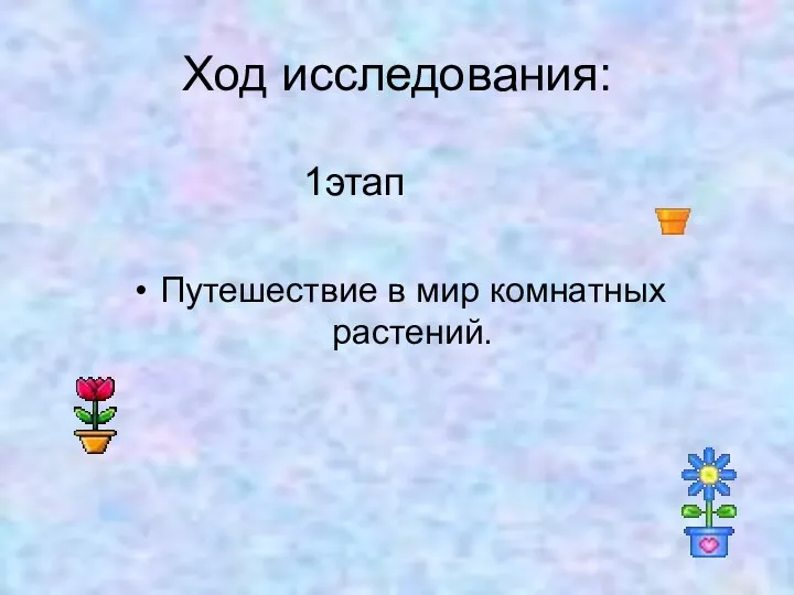 Ход исследования: 1этап Путешествие в мир комнатных растений.