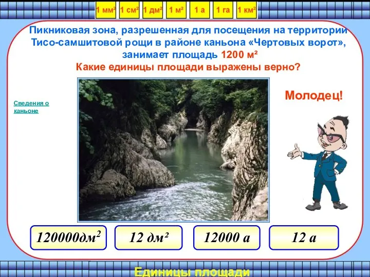 Пикниковая зона, разрешенная для посещения на территории Тисо-самшитовой рощи в