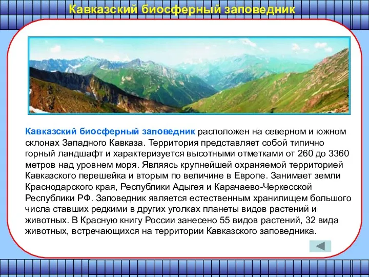 Кавказский биосферный заповедник расположен на северном и южном склонах Западного