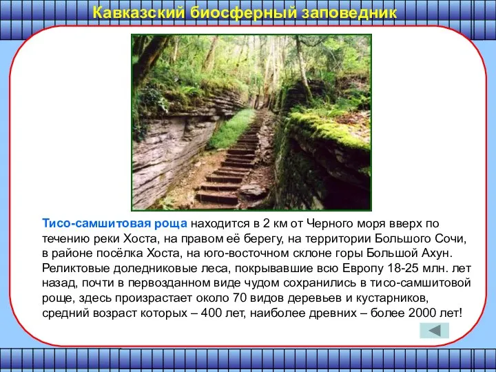 Кавказский биосферный заповедник Тисо-самшитовая роща находится в 2 км от