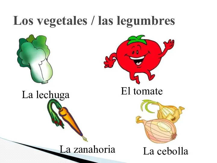 Los vegetales / las legumbres La lechuga La zanahoria El tomate La cebolla