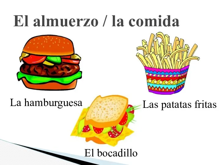 El almuerzo / la comida La hamburguesa Las patatas fritas El bocadillo