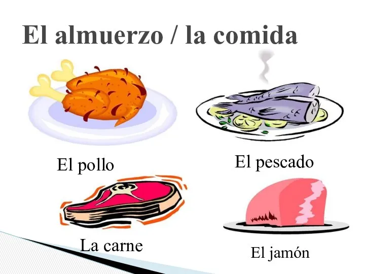 El almuerzo / la comida El pollo El pescado La carne El jamón