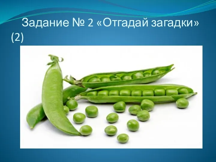 Задание № 2 «Отгадай загадки» (2)