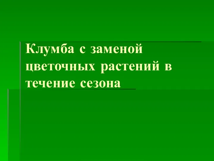 Клумба с заменой цветочных растений в течение сезона