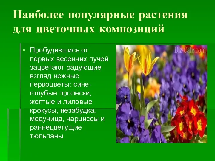 Наиболее популярные растения для цветочных композиций Пробудившись от первых весенних