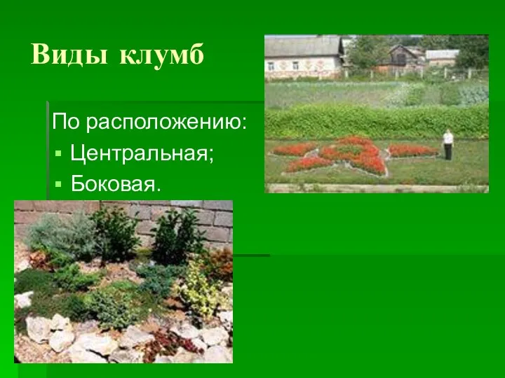 Виды клумб По расположению: Центральная; Боковая.