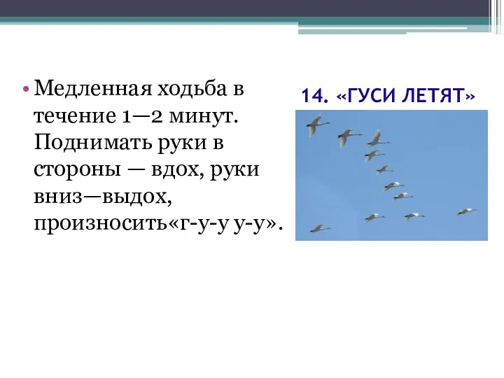 14. «ГУСИ ЛЕТЯТ» Медленная ходьба в течение 1—2 минут. Поднимать