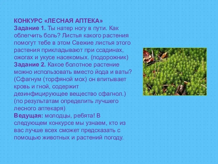 КОНКУРС «ЛЕСНАЯ АПТЕКА» Задание 1. Ты натер ногу в пути.