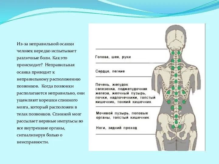 Из-за неправильной осанки человек нередко испытывает различные боли. Как это