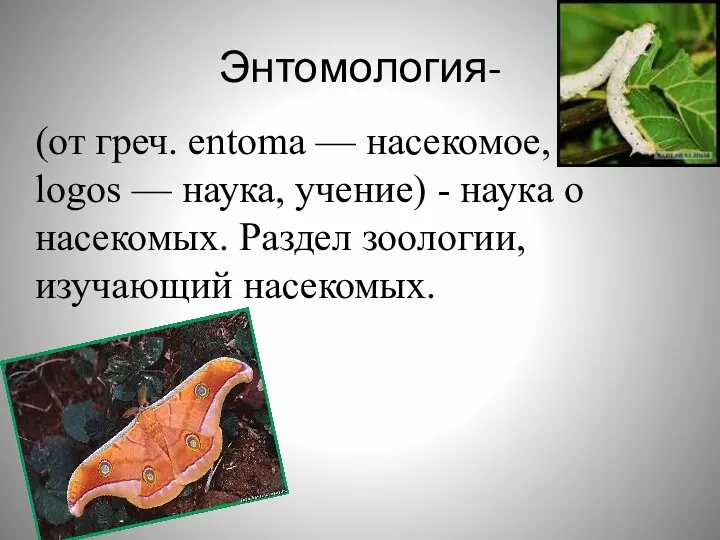 Энтомология- (от греч. entoma — насекомое, logos — наука, учение)
